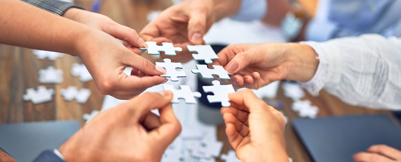 Desventajas De Los Sistemas Integrados De Gestion