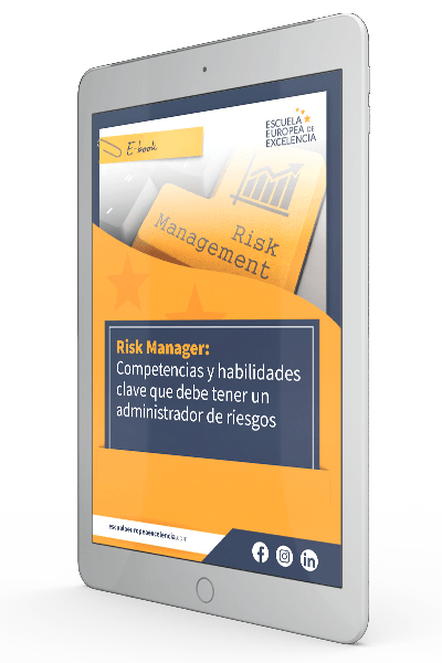 E-Book Risk Manager