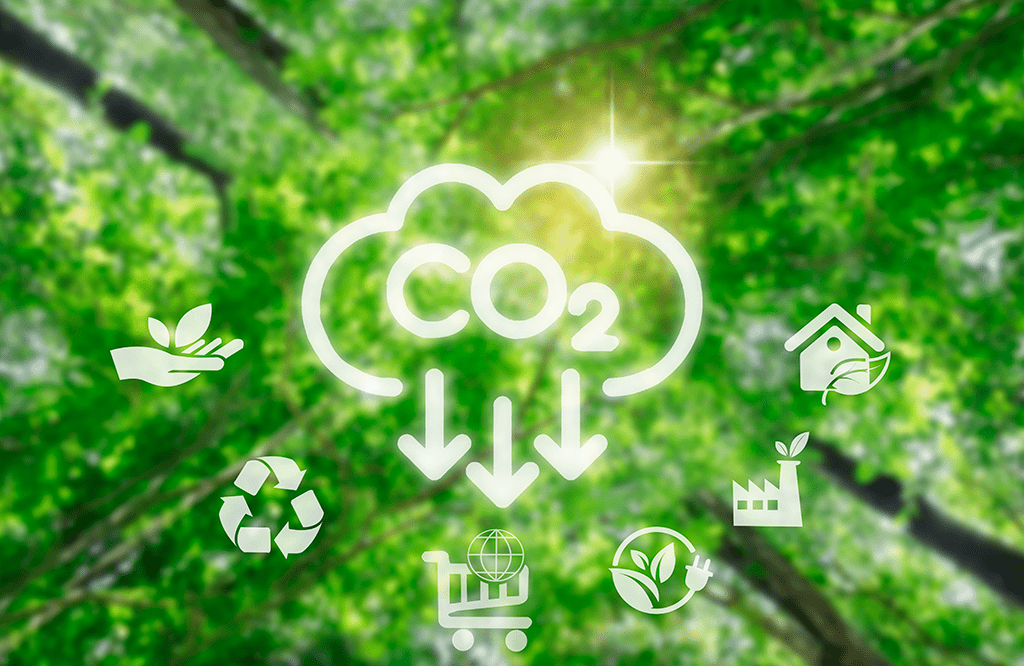 Claves para reducir la huella de carbono gracias a la ISO 14001