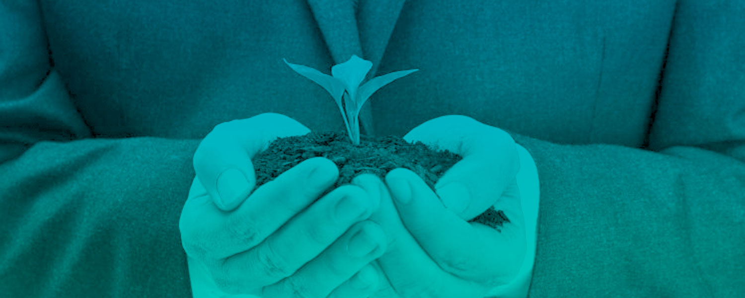 Evaluación del Desempeño Ambiental ISO 14001