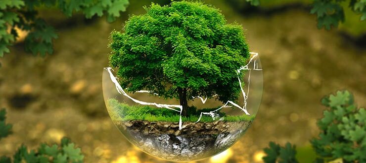 Cursos de gestión ambiental