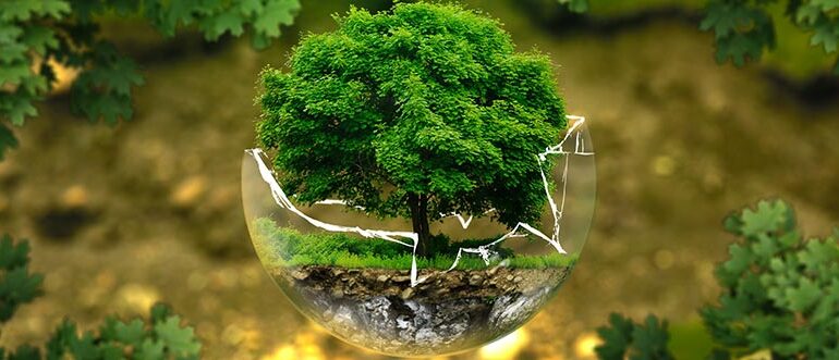 Cursos de gestión ambiental