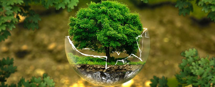 Cursos de gestión ambiental