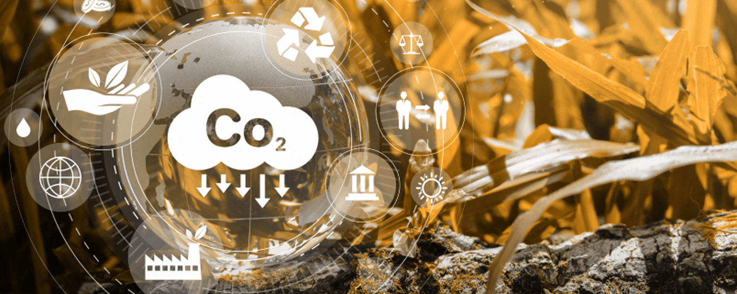 Aplicaciones de la IA para la futura ISO 14001:2026