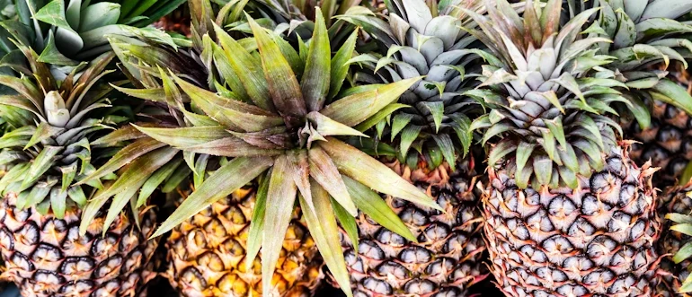 Actualizacion de la ISO 22002