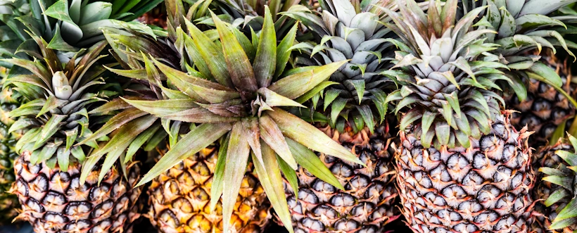 Actualizacion de la ISO 22002