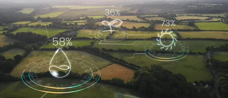 Carbón neutro en empresas de turismo