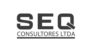 SEQ CONSULTORES LTDA